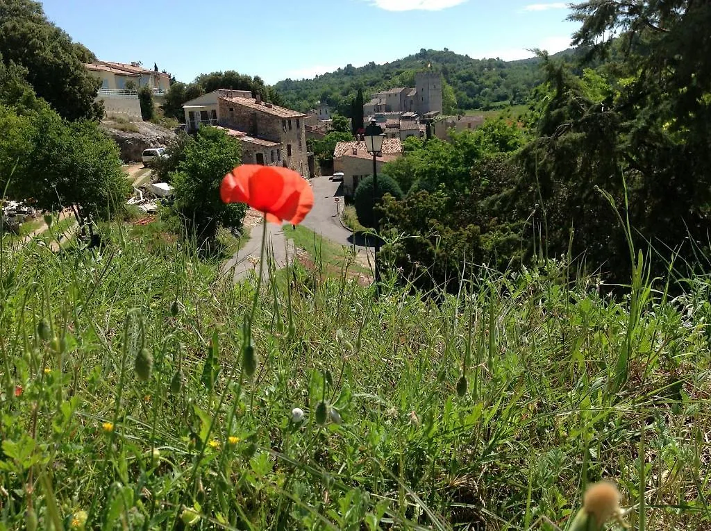 La Cheneraie Hotel Greoux-les-Bains 3*,